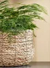 Mica Decorations Kôš na rastliny Avalon - sada 3 ks - V31 x Náhľad obrázku produktu 11