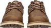 A front view of two brown leather shoes. Voir les images du produit