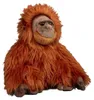 Orang-outan en peluche Voir les images du produit 4