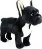 Plüsch Französische Bulldogge 30 cm Umweltfreundlich Produktbild-Vorschau 8