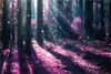 Wallario Premium Vliestapete Fototapete Fantasie im Wald - Produktbild-Vorschau 1