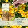 Gewürztagetes Samen - Tagetes Saatgut aus biologischem Produktbild-Vorschau 2
