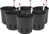 Kulturtopf 13/12 mit WA II/12er 6er-Pack Produktbild-Vorschau 4
