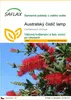 SAFLAX - Australský čistič lamp - Callistemon citrinus - Náhled obrázku produktu 1