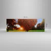Bild auf Leinwand - Leinwandbild - Baum Park Frühling Herz Produktbild-Vorschau 3