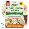 Power Florfliegenlarven gegen Blattläuse und Wollläuse – 2 Produktbild-Vorschau 1