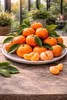 Drzewko mandarynkowe 100–140 cm w doniczce C17 – Citrus Podgląd zdjęcia produktu 5