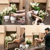 Kolibri Orchids | COMBI DEAL von 2 weißen  Produktbild-Vorschau 8
