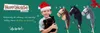 A boy in a Santa hat holds a hobby horse, with other hobby horses displayed in the background, set against a festive green background with sparkling accents and a red ribbon. Anteprima dell’immagine prodotto