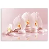 Leinwandbild zen-orchideen in puderrosa 120x80 cm Feeby Produktbild-Vorschau 3