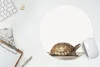 MuchoWow® Mauspad Mousepad Schildkröte - Junge - Tiere - Produktbild-Vorschau 5