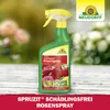 Neudorff Spruzit AF Schädlingsfrei RosenSpray 750 ml Produktbild-Vorschau 5