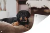 MuchoWow® Produktbild-Vorschau 1