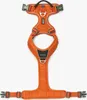 Dog Copenhagen V3 Comfort Walk Pro Harness Orange Sun M Produktbild-Vorschau 4