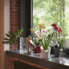 Lechuza Samozavlažovací květináč Orchidea 18 cm, bílá Náhled obrázku produktu 16