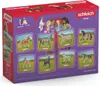 Schleich Horse Club Paso Peruano Starter Set 42738 Produktbild-Vorschau 7