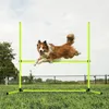 A dog jumping over an agility hurdle in a grassy field. Voir les images du produit