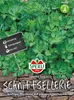 SPERLI Schnittselleriesamen Gewone Snij Apium graveolens Produktbild-Vorschau 3