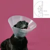 Hunde-Halskrause KVP Betsy Durchsichtig (63-78 cm) Produktbild-Vorschau 2