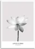 Leinwandbild weiße lotosblume 60x90 cm Feeby grau wandbild Produktbild-Vorschau 3