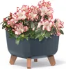 A square planter with flowers on a white background. Produktbild-Vorschau