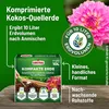 Substral Kompakte Blumenerde 625 g ergibt 10L Kokoserde Produktbild-Vorschau 2