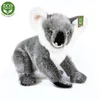 Rappa - Plschtier realistischer Koala Br stehend 25 cm Produktbild-Vorschau 6