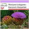SAFLAX - Karczoch Hiszpański - 50 Nasiona - Cynara Podgląd zdjęcia produktu 5