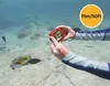 Outdoor Kamera Pixpro WPZ2 rot Produktbild-Vorschau 26