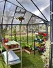 PALRAM-Victory Orangerie-anthrazi/transparent-7320 Podgląd zdjęcia produktu 26