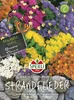 SPERLI Strandfliedersamen Colorita 50 Pflanzen Produktbild-Vorschau 3