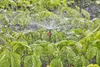 Gardena Micro-Drip-System Sprühdüse 360 Grad: Rundum-360 Produktbild-Vorschau 7
