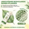 Raubmilben gegen Thripse, Spinnmilben & Weiße Fliegen - 1x Produktbild-Vorschau 6