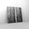 Bild auf Leinwand - Leinwandbild - Einteilig - Birken Wald Produktbild-Vorschau 4