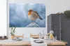MuchoWow® Poster Rotkehlchen - Winter - Blau 180x120 cm - Produktbild-Vorschau 3
