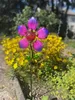 A decorative solar-powered flower stake is planted in a garden bed with yellow flowers in the background. Produktbild-Vorschau