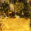 A planter box with plants decorated with warm white string lights. Voir les images du produit