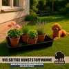 XXXL Wanne Universal als Ölwanne Katzenklo Produktbild-Vorschau 5