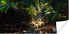 MuchoWow® Poster Dschungel - Sonne - Indien - Jungen - Produktbild-Vorschau 1