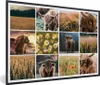 MuchoWow® MuchoWow® Gerahmtes Poster Schottisches Produktbild-Vorschau 1