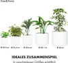 Fox & Fern Blumentopf, Übertopf Groß, UV- und Produktbild-Vorschau 5