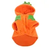 Kürbis-Hundekleidung,Halloween-Kürbis-Hundekleidung,Hunde-Wi Produktbild-Vorschau 1
