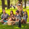 4er-Set Mobiler 2-Flügel Insektenvertreiber Batterie & USB: Produktbild-Vorschau 13