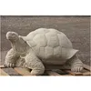Schildkröte Gross, Riesenschildkröte, Tierfigur aus Produktbild-Vorschau 2