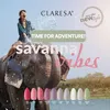 Claresa Hybride Nagellak LILA 613 - 5g Productafbeelding-voorbeeld 3