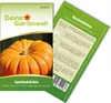 Kürbis Gelber Zentner Samen - Cucurbita maxima - Produktbild-Vorschau 1