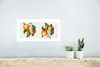 MuchoWow® Poster Lebensmittel - Orange - Pflanze 40x20 cm - Produktbild-Vorschau 5