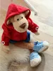 sigikid małpka do nauki Soft PlayQ 0 0 STK Podgląd zdjęcia produktu 12