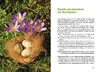 Wachteln im Garten Produktbild-Vorschau 9