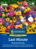 Kiepenkerl Blumensamen Last Minute 2 bis 4 m² Produktbild-Vorschau 1